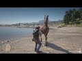 Horseman 10 challenge with all horse locations | RDR2