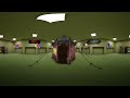 360 The Amazing Digital Circus / Pomni Backroom VR