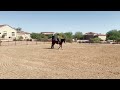 Jami Rodriguez & Lazy Butt Perfect, July Summer 2024, Class 19: Western Horsemanship W/J All Ages