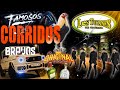 Corridos Bravos🤠Los Tucanes De Tijuana Lo Mejor ➕ Corridos Famosos