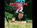 10. Mi amargo , Jordi Ganchitos - Hippies Acosadores I Palomitas en el suelo