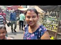 Galiff Street Pet Market Kolkata | dog market in kolkata price | Recent Dog Puppy Price Update