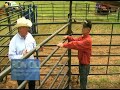 Priefert Small Cattle Working Systems