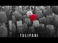 Bonny - Tulipani