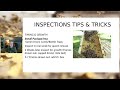 Beekeeping Inspection For New Beginners & Experienced Beeks