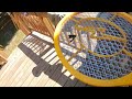 Here's how I use electric tennis racket fly swatter bug zapper to kill flying stinging bugs