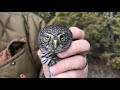 Greatest Superb Owl Recovery!