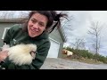 This silkie rooster has a mean streak but it's all love!