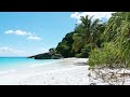 TROPICAL BEACH AMBIENCE | White Sandy Beach With Calming Ocean Sounds | 10 Hour Natural White Noise