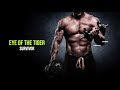 No Pain No Gain (Playlist) - Classic Rock Motivacional Pra Treinar