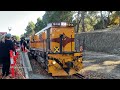 SteamRanger Railfest 2024 - Triple Steam to Bugle Ranges! - Rx224, Rx207, 621 - 26/5/24