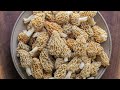 How to Harvest, Clean, and Store Morels