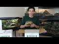 Unboxing 7 Pet Reptiles - New Snakes, Lizards and Turtles!