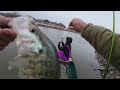 2 HOURS of SLAYING CREEK CRAPPIE in a DRAINING LAKE! -- HUNDREDS of HUGE SLABS! (Catch and Cook!)