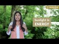 How To Use Sunlight As Medicine For Your Body | Amazing Health Benefits of Sunlight