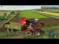 Turning Fresh Red Beets into Tasty Preserves | Zielonka Farm | Farming simulator 22 | Timelapse #29