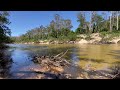 Relaxing Nature in Surround sound | Colo River NSW