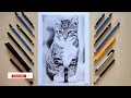 How To Draw A Cat I Cute Cat Pencil Drawing I Time Lapse I Pradnyesh Art