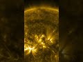 NASA   Thermonuclear Art – The Sun In Ultra HD 4K #eldddir #eldddir_animals #eldddir_bombs