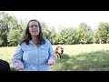 Controlling Fire Ants in Pastures and Hay Fields
