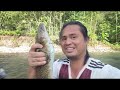 di sungai Solomon ada ikan dan babi