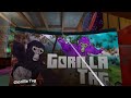 gorilla tag mess around