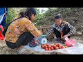 Video summarizing 120 days of harvesting tomatoes, cauliflower, oranges, beans and fish