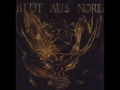 Blut Aus Nord - The Fall: Chapter V