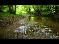 Relaxing River Sounds - Peaceful Forest River - 3 Hours Long - HD 1080p - Nature Video