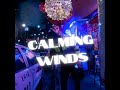 Calming Winds - ShxdowsMusic