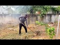 Full video:Transform and revive the luxurious mansion by trimming overgrown grass and clean up trash