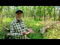 Before and After: Timber Stand Improvement for Better Deer & Wildlife Habitat Habitat (640)