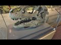 Dinosaur National Monument- Largest Jurassic Fossil Bone Quarry in the World ඩයිනෝසරයන් වඳ උනේ ඇයි?