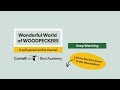 Why don't woodpeckers fall while pecking?