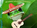 IT (isn't) FLAMENCO FROGGO FRIDAY!!!!