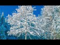 Calm and Peaceful Piano Music - What a Beautiful Winter Day