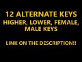That Funny Feeling Karaoke - Bo Burnham Instrumental Lower Higher Female Original Key