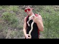 Border Patrol doesn't like snakes. Herping grind continues.