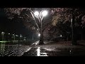Calm Rainsounds in the night park, White noise like a Lullaby, relaxation & ASMR that helps relax.