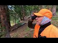 Four Days and Three Spots | 2023 Colorado Shiras Moose Hunt