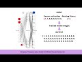 Biophysics Part2 - My Research project (Bioelectromagnetism and Biomimetic Robots)