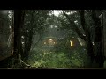 Sleep with the scenery of the rainy forest outside the window | Rain Sounds | Rain on Forest 8 hours