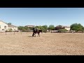 Jami Rodriguez & Lazy Butt Perfect, July Summer Series 2024, Class 22: Horsemanship Open