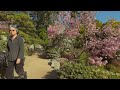 Walking the Japanese Garden on a Crisp Early Spring Morning (in 4K)