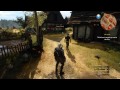 The Witcher 3 (fist fights)(pc)