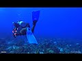 Scuba Diving in Jamaica