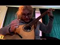 Free improvisation on Tim Reede Cittern