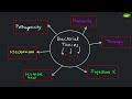 Bacterial Toxin | Exotoxin | Endotoxin | Microbiology | Basic Science Series