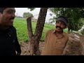 Pakistani Man Shows me REAL Village life here