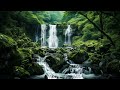 The Peaceful Forest | 432Hz Celtic Music to Relax and Recharge